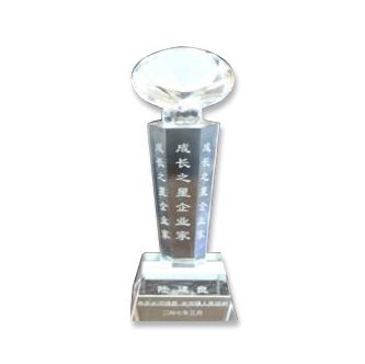 2007年長河鎮(zhèn)“成長之星”