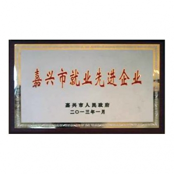 嘉興市就業(yè)先進(jìn)企業(yè)